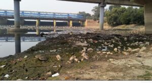 chhath pooja00