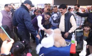 Dog Show