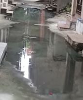 Mohan Garden Gali No.2