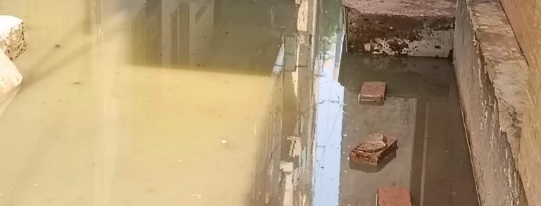 Delhi sewer overflow